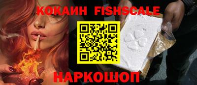 крисы Кунгур