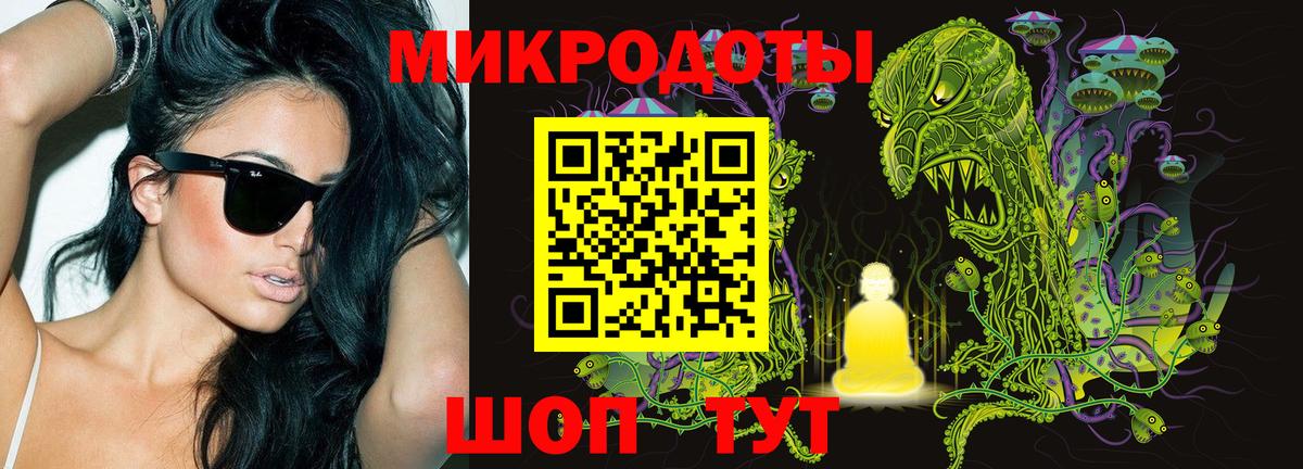Псилоцибиновые грибы мицелий Каменка
