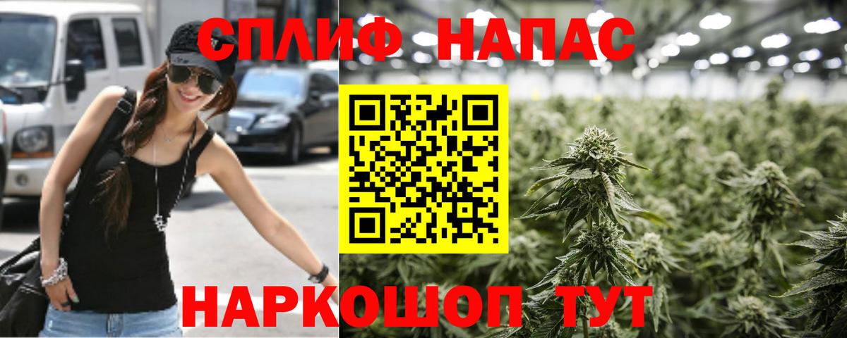 COCAIN Каменка